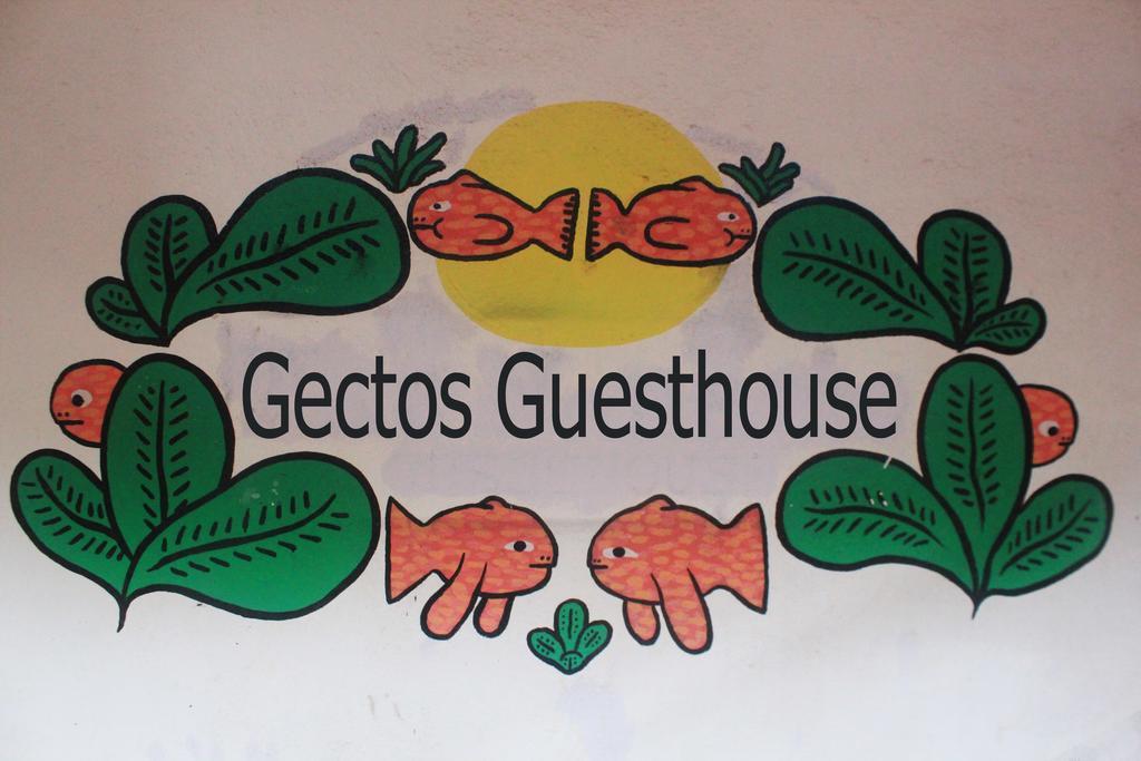 Cactus Guesthouse 아람볼 외부 사진